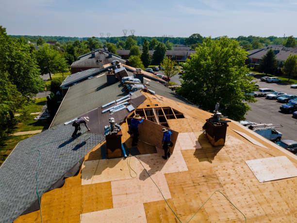Best Metal Roofing Contractor  in Richmond, MI