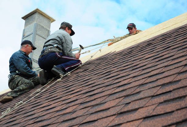 Best Local Roofing Companies  in Richmond, MI
